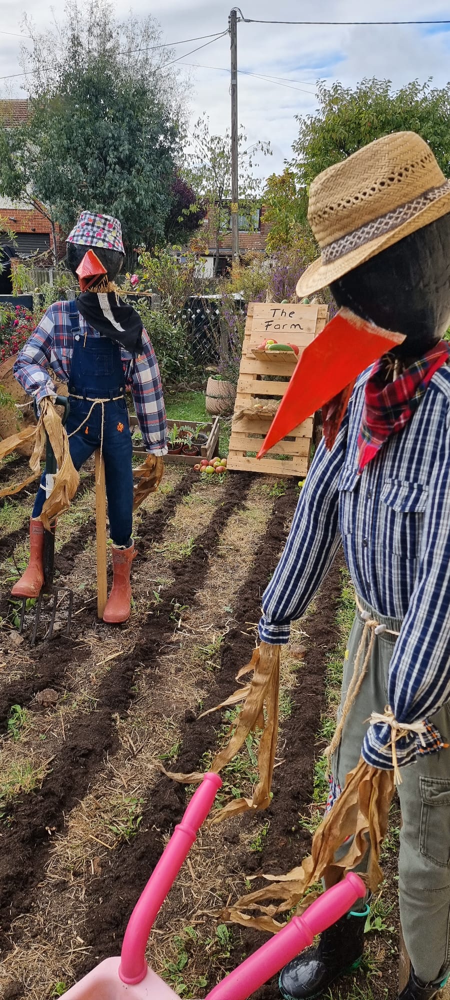 Winning Entry for the Scarecrow Competition from the McDermott Family