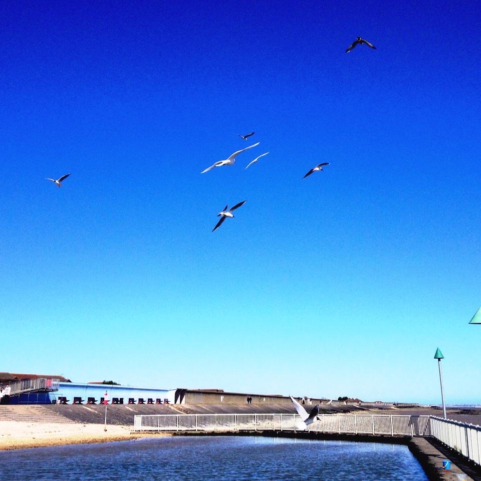 Concord Beach Tidal Pool