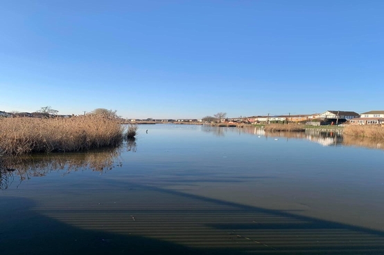 Canvey Lake